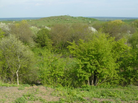 с. Опішне (с. Опішня), Національний музей-заповідник українського гончарства